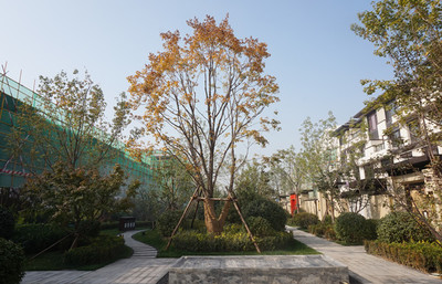 北京艺苑风景园林工程