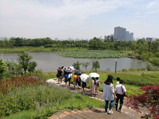 记者亲历大象湖景区建设园林景观工程